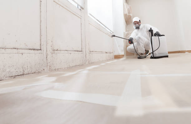 Post-remediation clearance in Washington